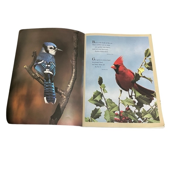 Birds of the Northeast by Winston Williams - Picture 6 of 6